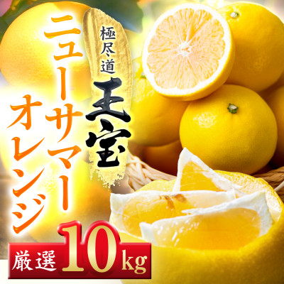 
            ＜愛媛名産＞玉宝ニューサマーオレンジ　10kg＜H64-39＞【1510857】
          