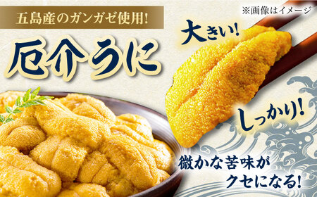 【全12回定期便】厄介うに ガンガゼの塩うに 70g×5本 / ウニ 雲丹 五島市 / うた丸[PGA008]