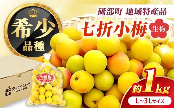 梅 七折小梅 生梅  約1kg 梅干 BJBI013