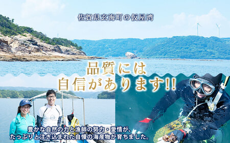 玄海町産 活サザエ 1.0kg ／ 数量限定 希少 貝 魚介 魚介類 海鮮 海産物 サザエ 刺身 壺焼き つぼ焼き バーベキュー BBQ【A186】