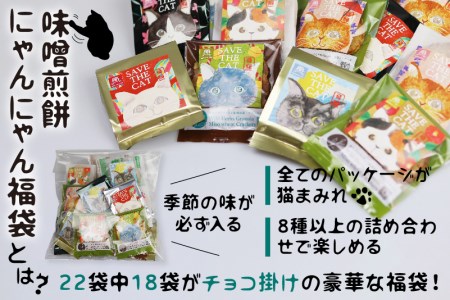 【ふるさと納税】ネコ尽くしにゃんにゃん味噌煎餅22袋セット 味噌煎餅  詰め合わせ 22袋 せんべい チョコ 味噌 生姜 酒かす 珈琲 えごま グラノーラ さつまいも トマト キャラメル ナッツ スイ