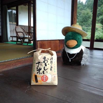 ふるさと納税 飯南町 カモしゃん米　精米5kg