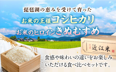 【令和7年産新米】コシヒカリ・きぬむすめ白米食べ比べセット [AQDH007] こしひかり 白米 食べ比べ セット