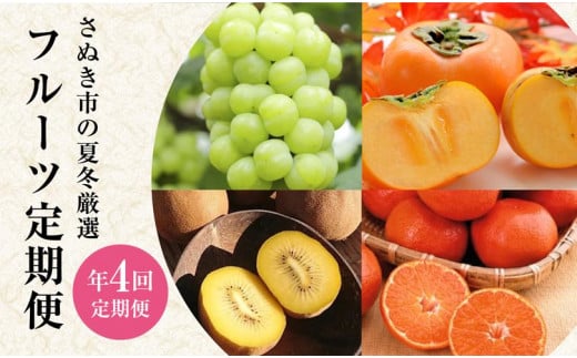【定期便全4回】さぬき市 フルーツ定期便　(瀬戸ジャイアンツ さぬきゴールド 富有柿 小原紅早生みかん)【旬 人気 果物 くだもの マスカット キウイ 柿 みかん 香川県 】