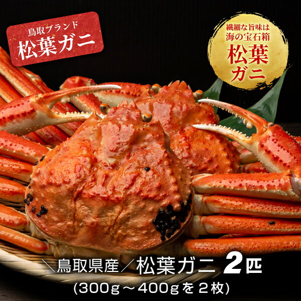 【ふるさと納税】OM-17 【冷凍】ボイル松葉ガニ（300g〜400gを2枚）鳥取県産 松葉ガニ ズワイガニ かに 松葉蟹 ずわいがに　カニ 松葉がに 蟹 魚介 海鮮 送料無料 鳥取県 大山町 【11月下旬以降発送】
