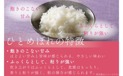 ★令和7年産★【2回定期便】特別栽培米 ひとめぼれ 10kg（5kg×2袋）岩手県紫波町産 (AD052) 2回定期便 10kg