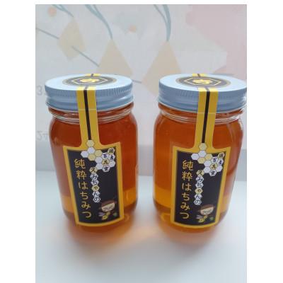 ふるさと納税 前橋市 えみちゃんの純粋はちみつ 300g×2瓶