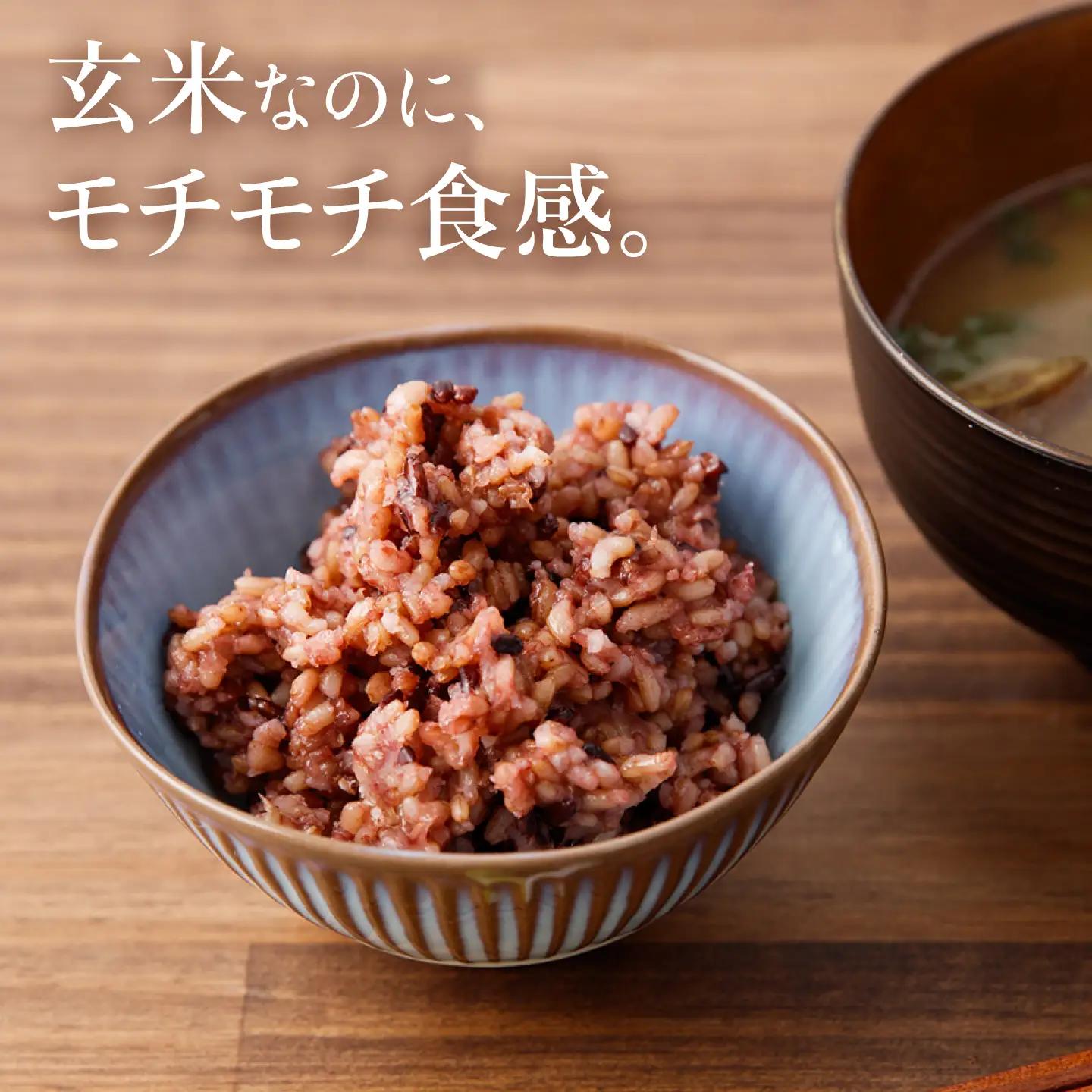 パックご飯 玄米 125g×14食 [CGV002] 米