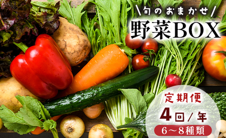 【4回定期便】 京都 舞鶴 季節の野菜BOX 詰め合せ セット 6～8種類 年4回 定期便 季節の野菜 旬の野菜 旬野菜 新鮮 京野菜 野菜定期便