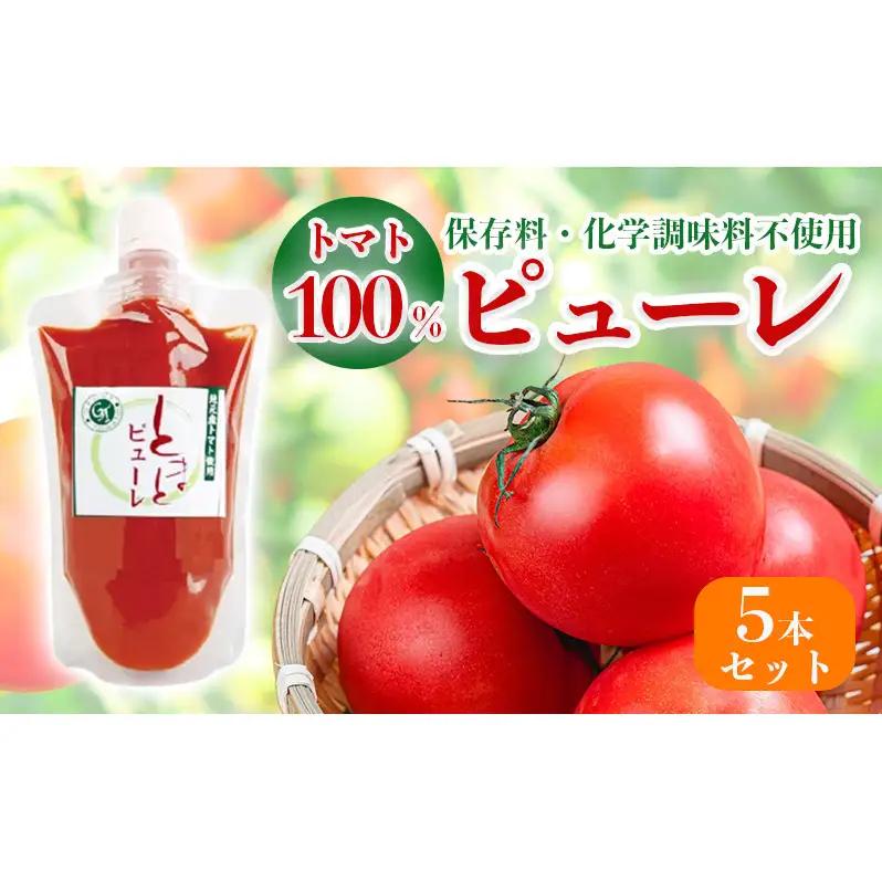 トマトピューレ 加工食品 トマト100% 保存料不使用 トマトピューレ【5本】