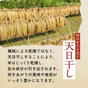 【先行予約】 米 5kg ササニシキ 精米 (11月~順次発送) お米 新米 |ne00001-5