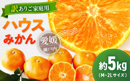 【先行予約】【7月上旬より順次発送】【ご家庭用】ハウスみかん 5㎏　大玉（Mから2Lサイズ）[AGBT020]みかん 愛媛みかん ハウスみかん みかん 訳あり