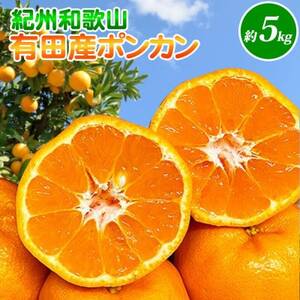 【日高町】紀州和歌山有田産ポンカン　5kg【1217367】