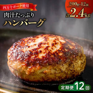 12ヶ月定期便 四万十ポーク入りハンバーグ 2.4kg(200g×12個) 冷凍 真空 小分け 個包装 肉汁たっぷり 大容量 合挽き 牛肉 弁当 おかず 惣菜 晩ごはん 贅沢 SNM2000