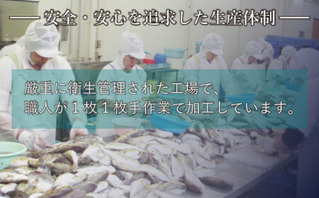 【※配送指定日必須】国産とらふぐ刺し身セット 冷蔵 3～4人前 ふぐ AQ