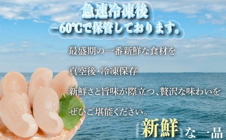 平貝 と小柱のセット 6個 冷凍 平貝 タイラギ 貝 魚貝類 魚貝 タイラガイ 魚介 貝類 冷凍 BBQ タイラギ 貝 魚貝類