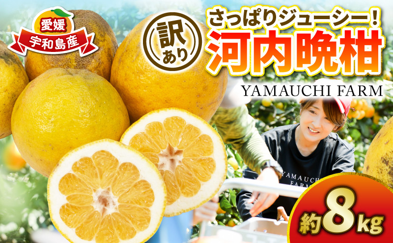 
                  訳あり 河内晩柑 8kg YAMAUCHI FARM 晩柑 かわちばんかん 和製 グレープフルーツ 愛媛みかん 愛媛蜜柑 愛媛ミカン mikan 先行予約 果物 フルーツ くだもの 柑橘 さっぱり 蜜柑 産地直送 農家直送 数量限定 国産 愛媛 宇和島 B010-084006
                