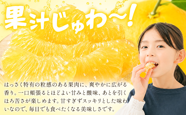 八朔 はっさく ご家庭用 サイズ不選別 9kg《2月上旬-2月下旬頃出荷》八朔 柑橘 果物 フルーツ 訳あり 規格外 傷あり 徳島県 美馬市 送料無料