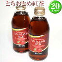 【ふるさと納税】とちおとめ紅茶20本セット ※着日指定不可 ドリンク 紅茶 苺 いちご イチゴ ジュース びん ビン 飲料 取り寄せ お取り寄せ ご家庭用 手土産 美味しい すっきり ギフト 厳選 贈答 贈り物 お中元 夏ギフト プレゼント 茨城県 古河市 送料無料 _EX01