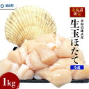 【ふるさと納税】【北海道限定！】北海道雄武町産　生玉ほたて500g×2塩水パック（冷蔵）｜北海道限定 生玉ホタテ 生ホタテ　大粒 ホタテ 帆立 ほたて 新鮮 500g×2 1kg 生 冷蔵 塩水パック オホーツク 北海道 雄武町 雄武 刺身【07133】