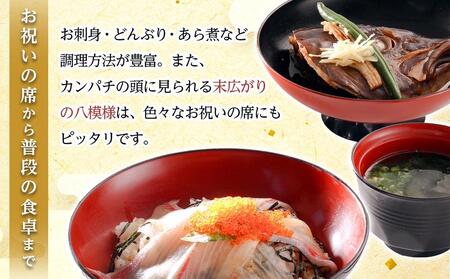 【ねじめ黄金カンパチ】ロイン 4本 カンパチ 1尾分 ( 約400g × 4本 ) 着日指定可  | かんぱち 勘八 産地直送 冷蔵 刺身 カンパチ 美味しい 魚