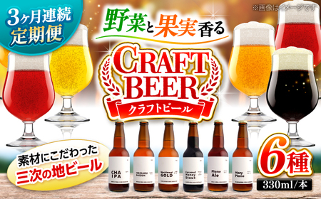 【全3回定期便】クラフトビール（地ビール）6種類[APCA004] ビール