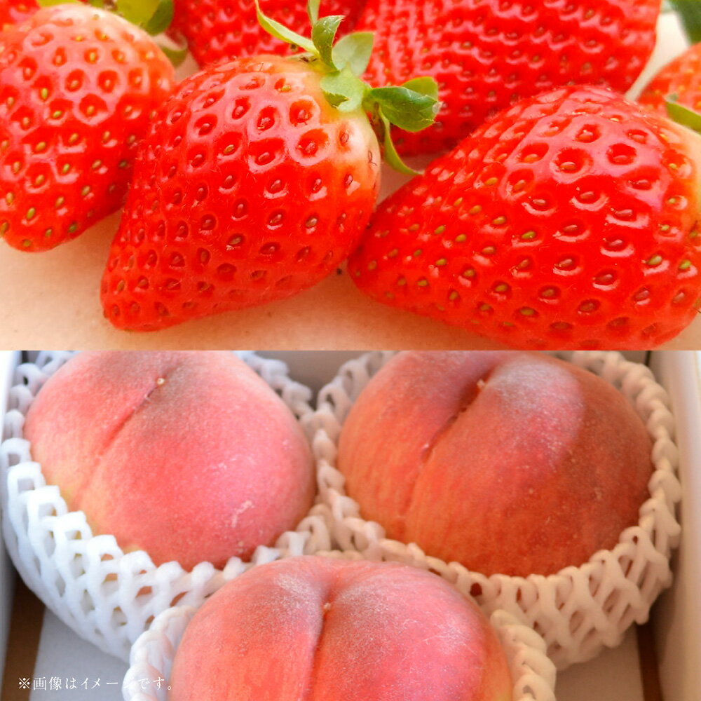 【ふるさと納税】【フルーツ2回定期便】 球磨のいちご（1kg）・桃（1kg） ゆうべに 苺 イチゴ もも モモ くだもの 果物 果実 フルーツ 冷蔵 熊本県産 国産 九州 熊本県 あさぎり町 送料無料 【2026年1月中旬～6月下旬迄順次発送予定】
