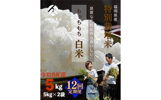令和8年産【先行予約】【定期便12回】久保山百年米 特別栽培米 白米 5kg 夢つくし/元気つくし【定期便 精米 お米 米 ご飯 ごはん ブランド 元気つくし 夢つくし 農家直送 福岡県 筑前町 BT057】