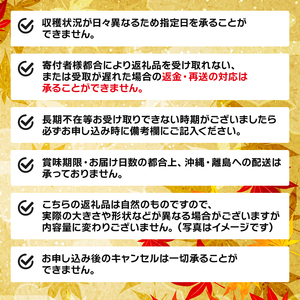 2026 先行予約 訳あり 鮮さんま 2kg 20~25本 ＼ さんま ／