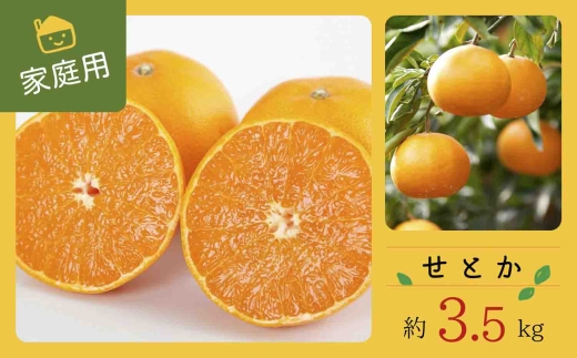【先行受付】コウ果樹園の家庭用＜せとか＞約3.5kg＜C33-31＞_訳あり 訳アリ みかん ミカン 愛媛県 フルーツ 果物 くだもの 柑橘 かんきつ 人気 産地直送 産直 ジューシー 甘い 果汁 糖度 規格外 濃厚 家庭用 セトカ 【1441231】 YWTG013