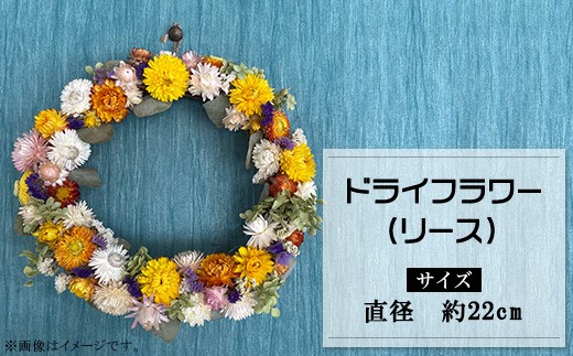 
                  ドライフラワー（リース）
                