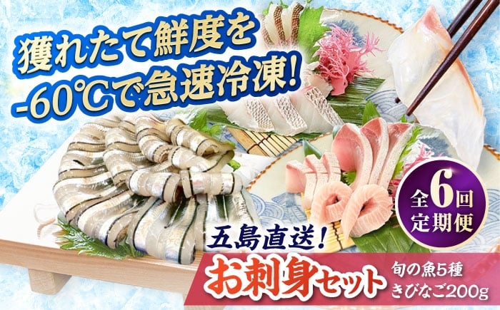 
            【全6回定期便】超速冷凍鮮魚6種（5種+きびなご）五島市/金沢鮮魚 魚 キビナゴ 鮮魚 鮮魚ボックス [PEP066]
          
