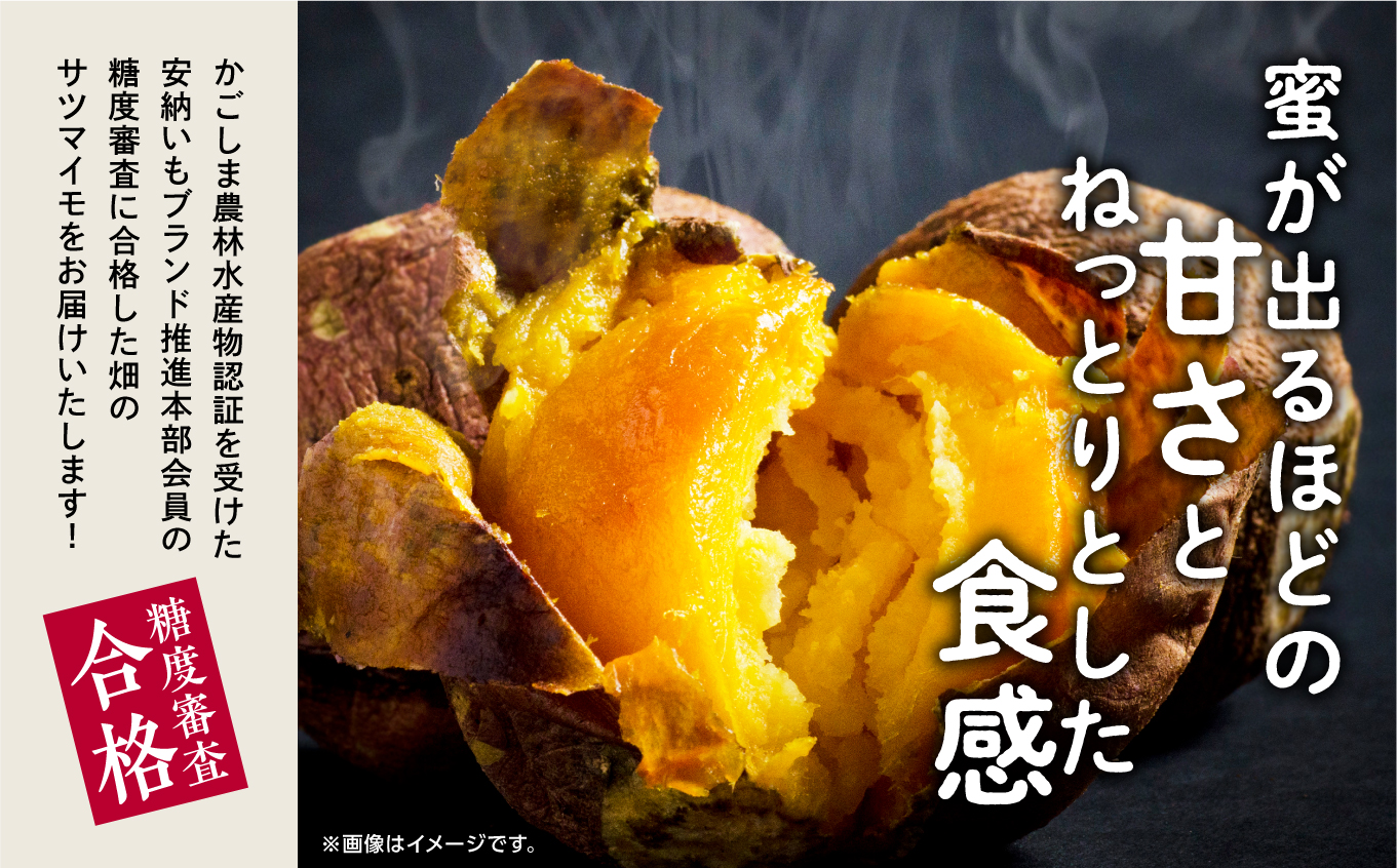 《先行予約》 種子島 安納いも さつまいも 3kg 焼きいも 焼き芋 本場 安納芋 Qさま キューさま さつま芋 甘い ねっとり スイーツ おやつ グルメ お取り寄せ おせち 人気 種子島産 返礼品