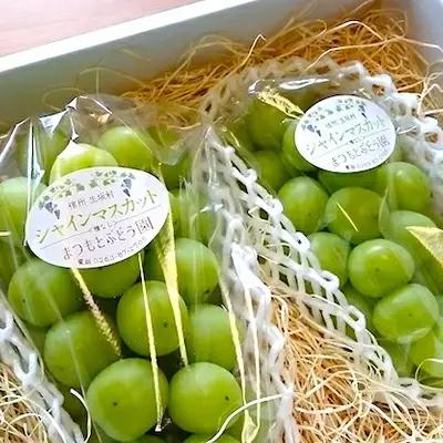 【2026年先行予約】シャインマスカット 約1kg (2房)  まつもとぶどう園 | シャインマスカット