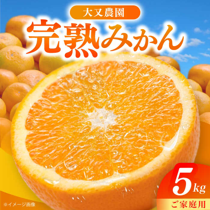 【ふるさと納税】【先行予約・11月以降発送】みかん 5kg 詰合せ 長崎県産 / 柑橘 みかん 蜜柑 / 大村市 大又農園[ACZO001]