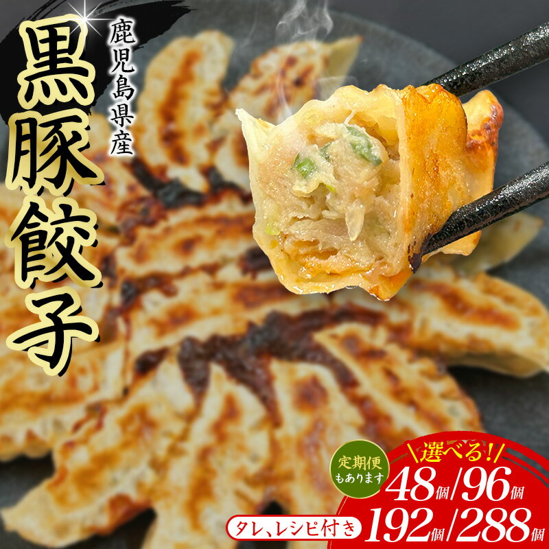 【ふるさと納税】餃子 48~288個 定期便 冷凍 小分け 選べる 黒豚餃子 ぎょうざ ギョーザ 豚肉 家族 子ども 弁当 中華 惣菜 大容量 人気 ランキング 美味しい おいしい 焼き餃子 揚げ餃子 ふるさと納税餃子