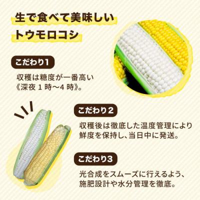ふるさと納税 糸島市 糸島産 トウモロコシ「もきっこ」白黄ミックス(10本前後)糸島市/内田農業[AZH003] |  | 01