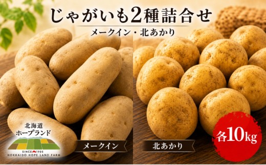 
[№5749-1167]じゃがいも2種詰合せ（メークイン10kg・北あかり10kg）【十勝幕別 北海道ホープランド農場】
