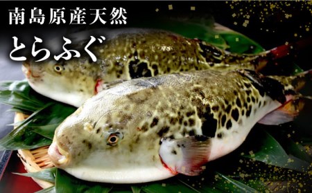 【2027年4月-発送】南島原産 天然とらふぐ刺身 5-6人前 / ふぐ フグ トラフグ ふぐアラ 魚 ヒレ酒 / 南島原市 / 大和庵 [SCJ019]