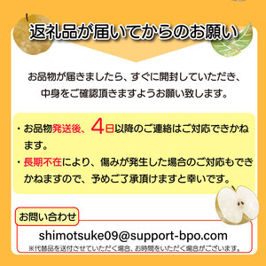 【数量限定！】【今季出荷分！】にっこり 梨 3kg | 2025年産 | 栃木県 下野市