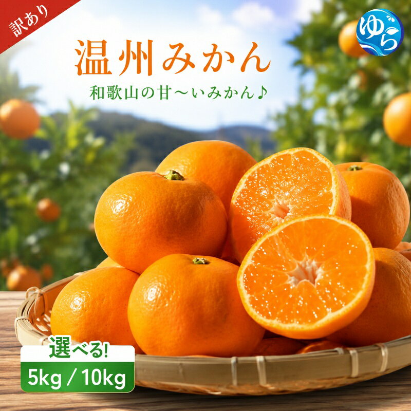 【ふるさと納税】 ＼訳あり／ 温州みかん 5kg 10kg / 数量限定 みかん ミカン 和歌山県 柑橘 甘い 蜜柑 フルーツ 果物 くだもの 食品 産地直送 由良町 ご家庭用 温州 訳ありみかん【2026年11月中旬～1月上旬頃に順次発送予定】