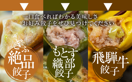 餃子 人気餃子3種を詰め合わせ！ぎふ夢餃子ミックス 40個 冷凍 餃子  [mt1581] 