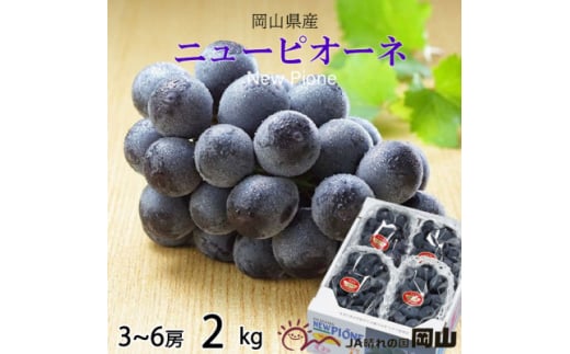 ＜2025年6月発送＞岡山県産　ニューピオーネ　2kg(3房～6房)【1308149】