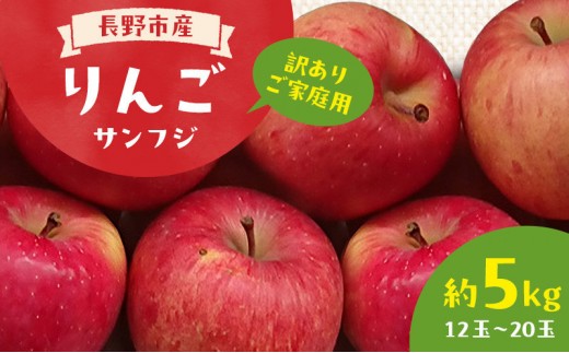 
                  ＜ 訳あり ご家庭用 ＞2026年長野市産 サンふじ 規格外 訳あり 約5kg |  りんご サンふじ 訳あり 規格外 人気 おすすめ 林檎 リンゴ フルーツ 果物 家庭用 応援 長野県 長野市 信州 信濃 ふるさと納税
                