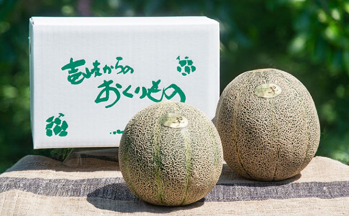 【先行予約】アムスメロン「翠」 2玉（中箱）【2025年6月中旬以降順次発送】《壱岐市》【フレッシュメイト壱岐】[JAZ004] メロン めろん アムスメロン 果物 くだもの 果実 フルーツ デザート