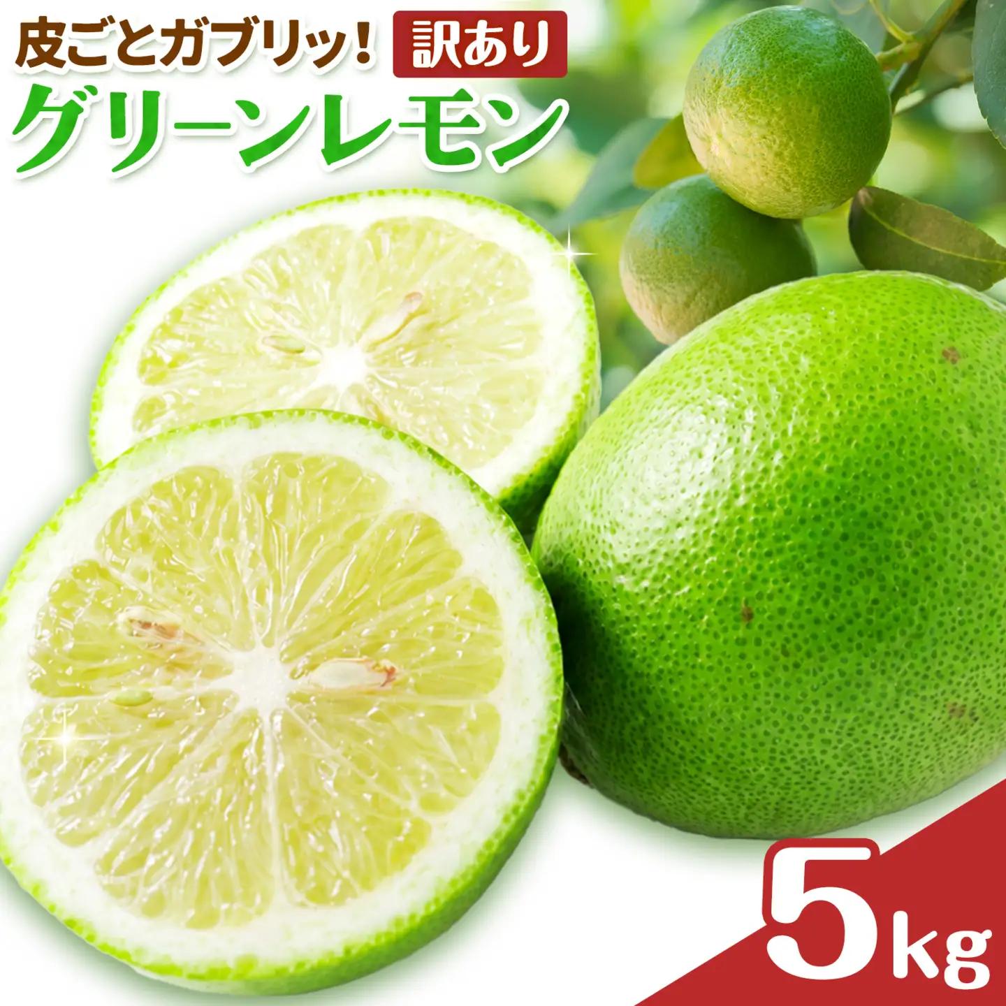 グリーン レモン 訳あり 5kg 三ツ山レモンファーム 檸檬