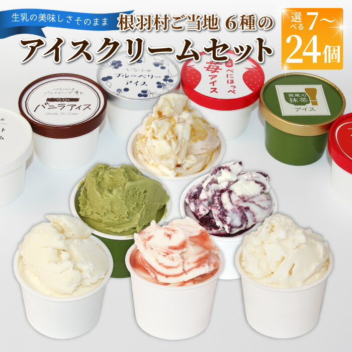 【ふるさと納税】高評価★5.0《1週間以内発送！》根羽村 ご当地6種のアイスクリームセット 7個 16個 24個 アイスクリーム 詰め合わせ 即日発送 アイス 生ソフトクリームアイス バニラ 西尾抹茶 抹茶 りんご いちご ブルーベリー 長野県 根羽村 リピート購入 家族