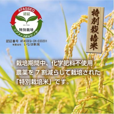 ふるさと納税 南魚沼市 特別栽培米　新潟県 南魚沼産 コシヒカリ 塩沢地区 6kg (美味しいお米の炊き方ガイド付き) |  | 01