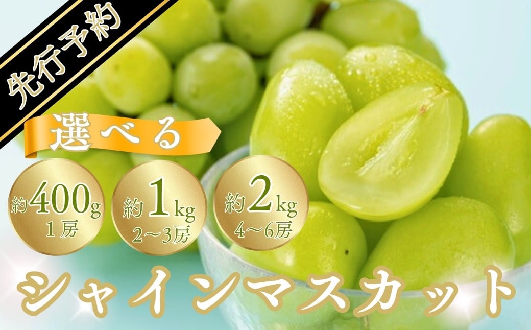 
            【2026年先行予約】シャインマスカット 1房(400g以上) / 約1kg（2~3房）/ 約2kg（4~6房） | 葡萄 グレープ 果物 フルーツ シャインマスカット 信州ぶどう 信州葡萄 産地直送 種無し 皮ごと食べれる 白ぶどう マスカット 信州 長野 千曲市
          