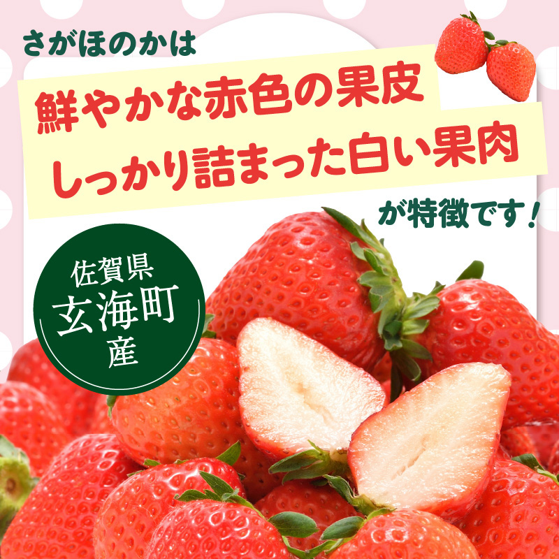 ★予約受付★杉山いちご農園 佐賀県玄海町産「さがほのかDX」毎月定期便 さがほのかDX定期便
